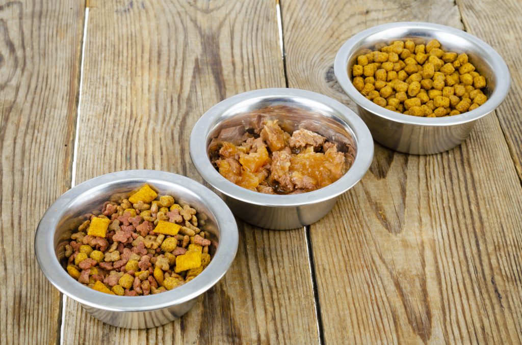 metal bowls with different pet foods. photo