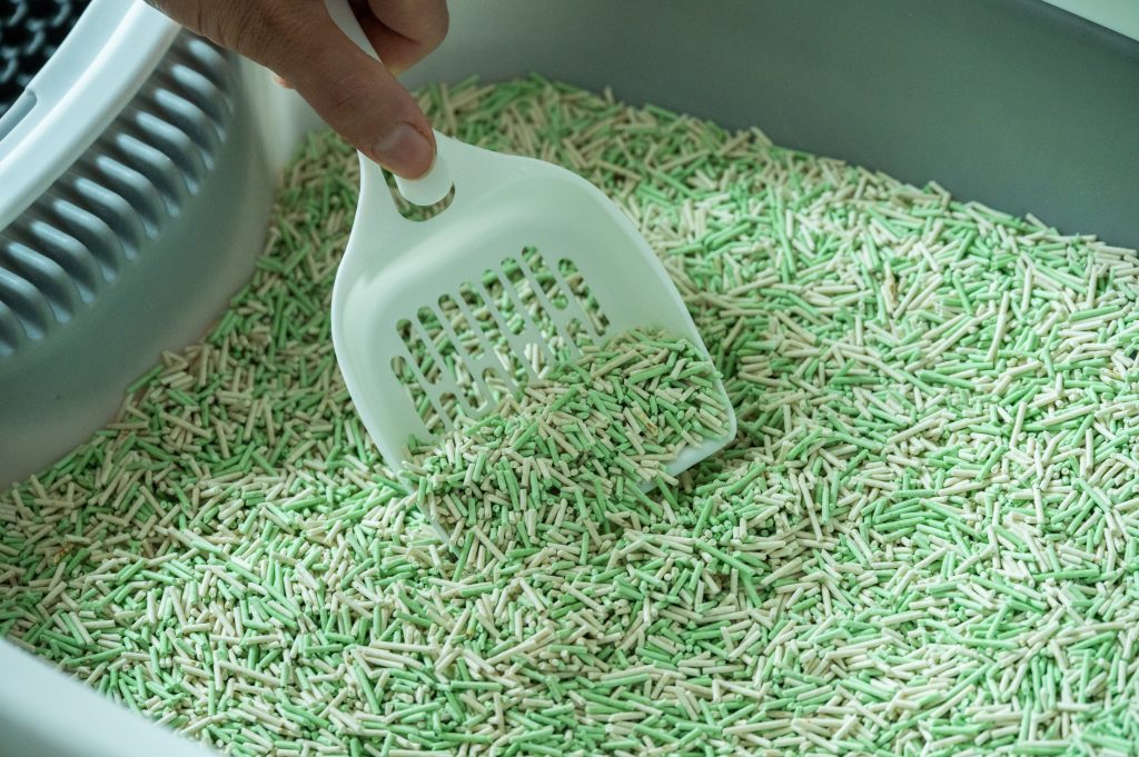 vecteezy someone scooping tofu cat litter in sand box 48791936 vecteezy someone scooping tofu cat litter in sand box 48791936