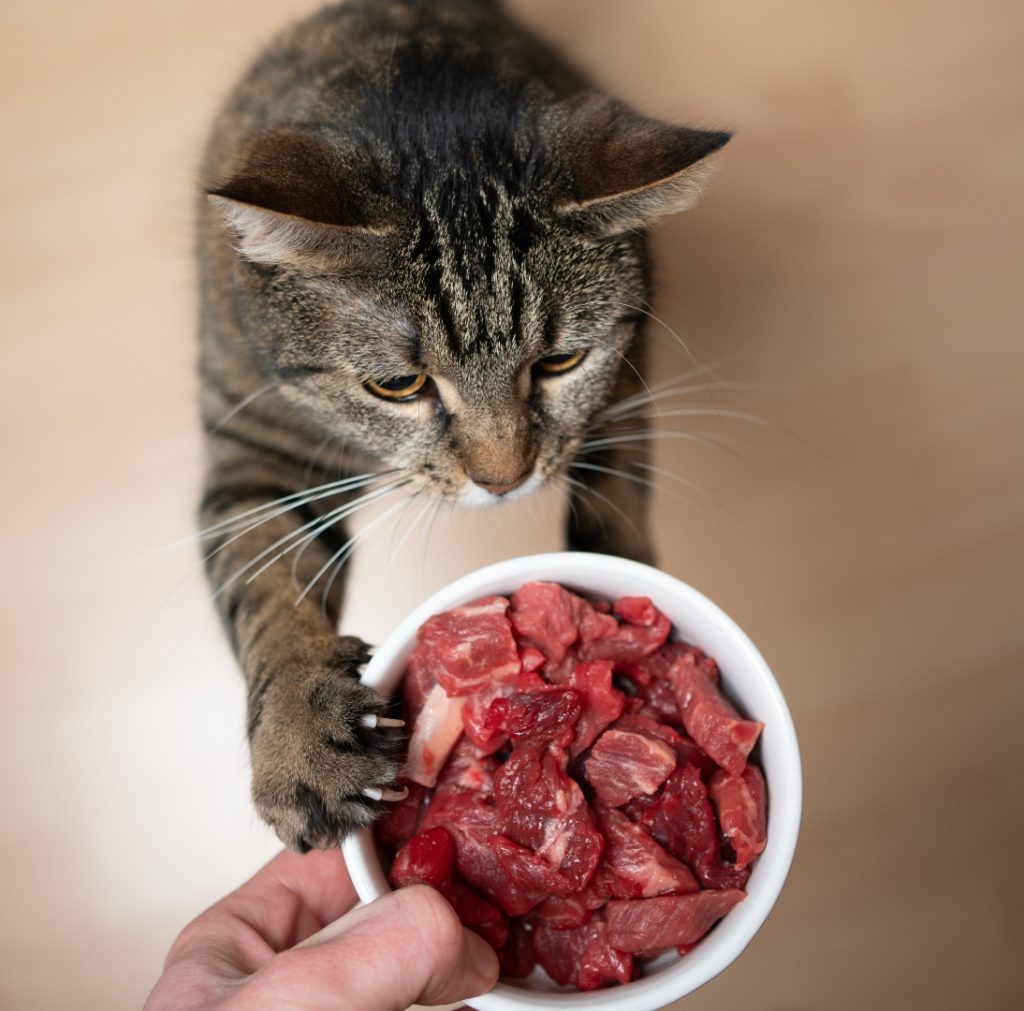 n9u923i8np9ecxhzpyrbwk